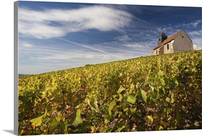 France, Marne, Champagne Ardenne, Mutigny, Town Church And Vineyards