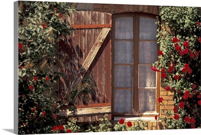 France, Provence, Vaucluse, Apt, House With Summer Roses