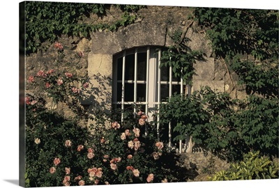 France, Provence, Vaucluse, Manerbes, Peter Mayle Country, Window and Flowers