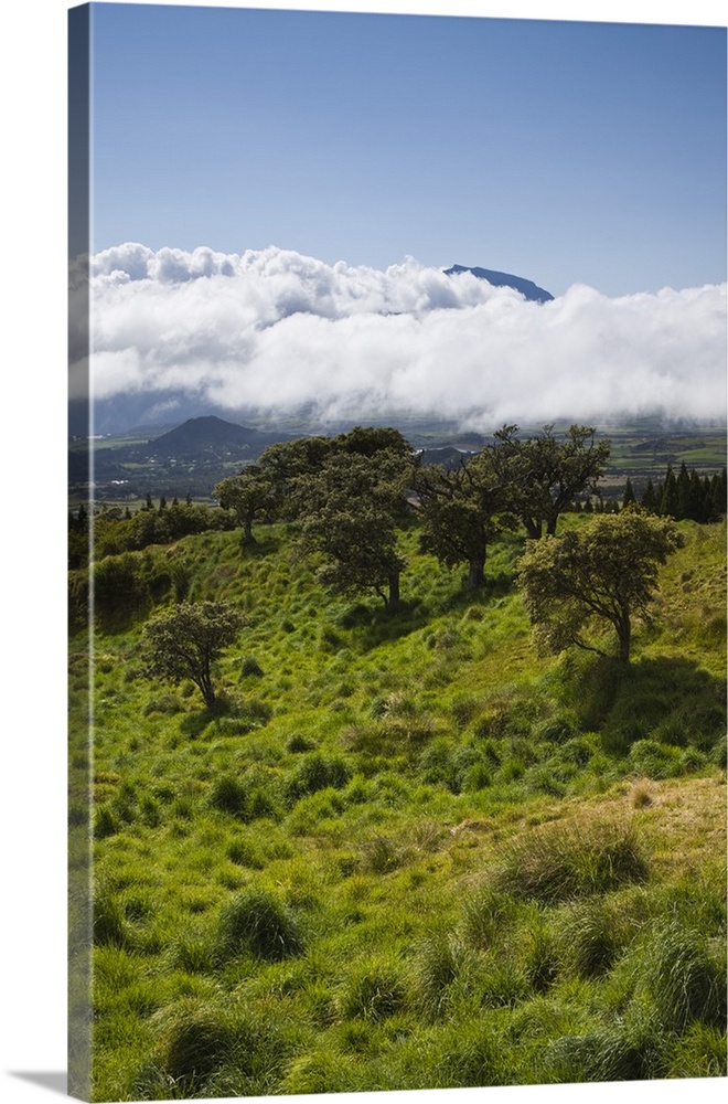 France, Reunion Island, Bourg Murat, Plaine-des-Cafres, landscape on the RF5 towards the Piton de la Fournaise Volcano