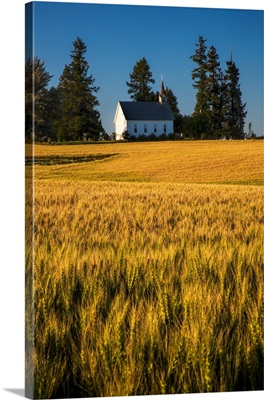 Freeze Community Church, Freeze, Idahoh on the hill surrounded by harvest wheat