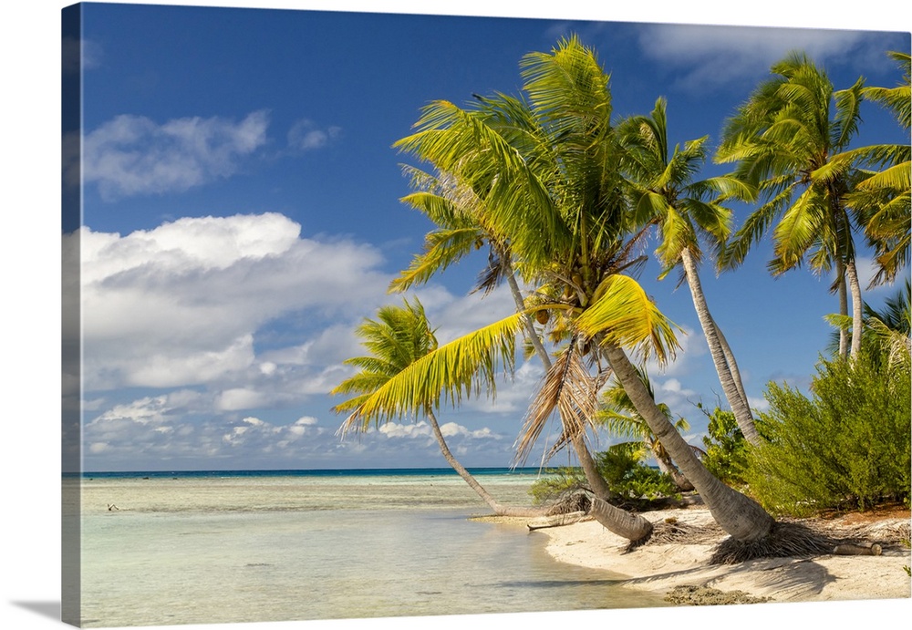 French Polynesia, Rangiroa Atoll. Blue Lagoon and palm trees.