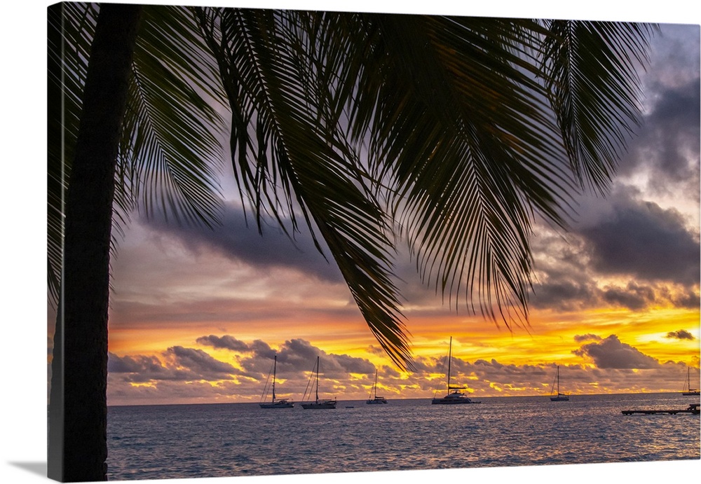 French Polynesia, Rangiroa Atoll. Palm tree and sailboats at sunset.