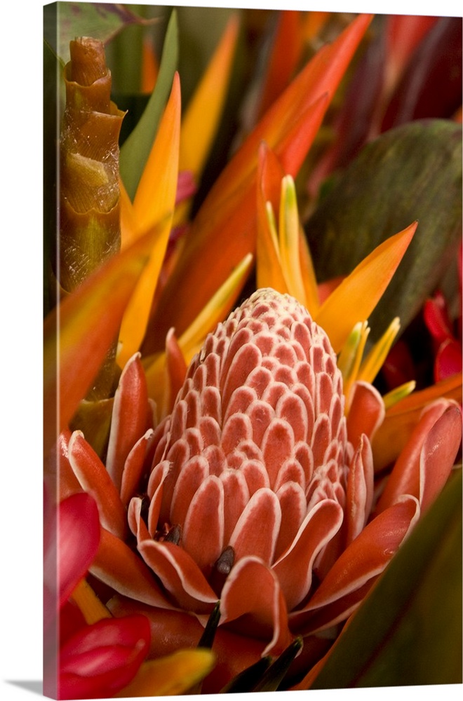 French Polynesia, tropical native flowers.