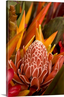 French Polynesia, tropical native flowers
