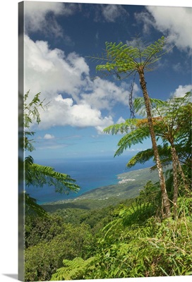 French West Indies, Guadaloupe, Basse Terre, Route de la Traversee