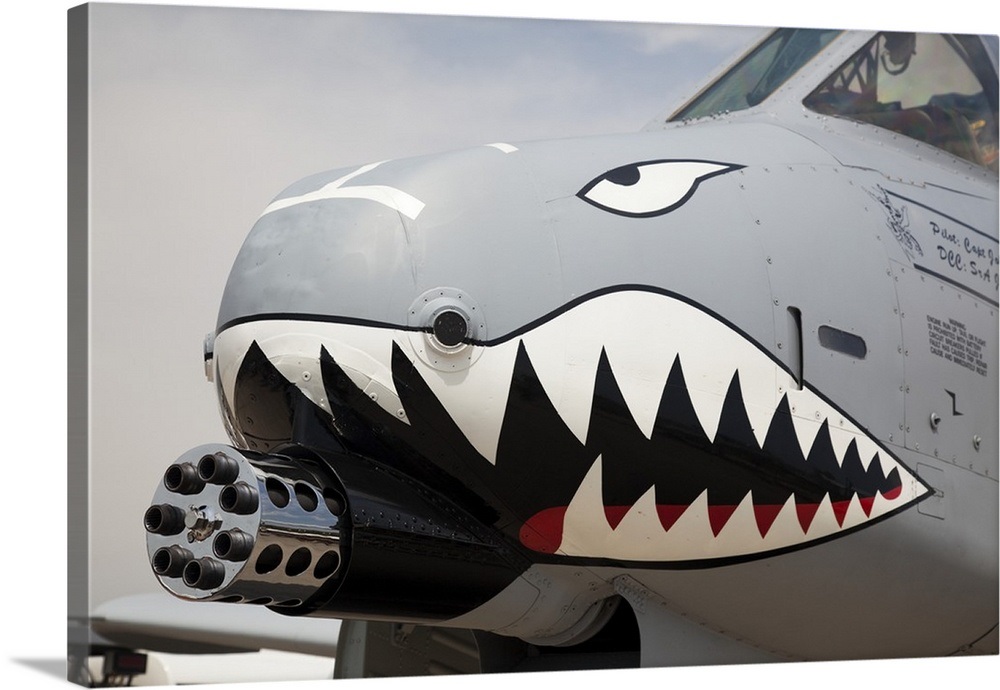 Front of an A10 Thunderbolt II warplane painted with a shark face Wall Art, Canvas Prints