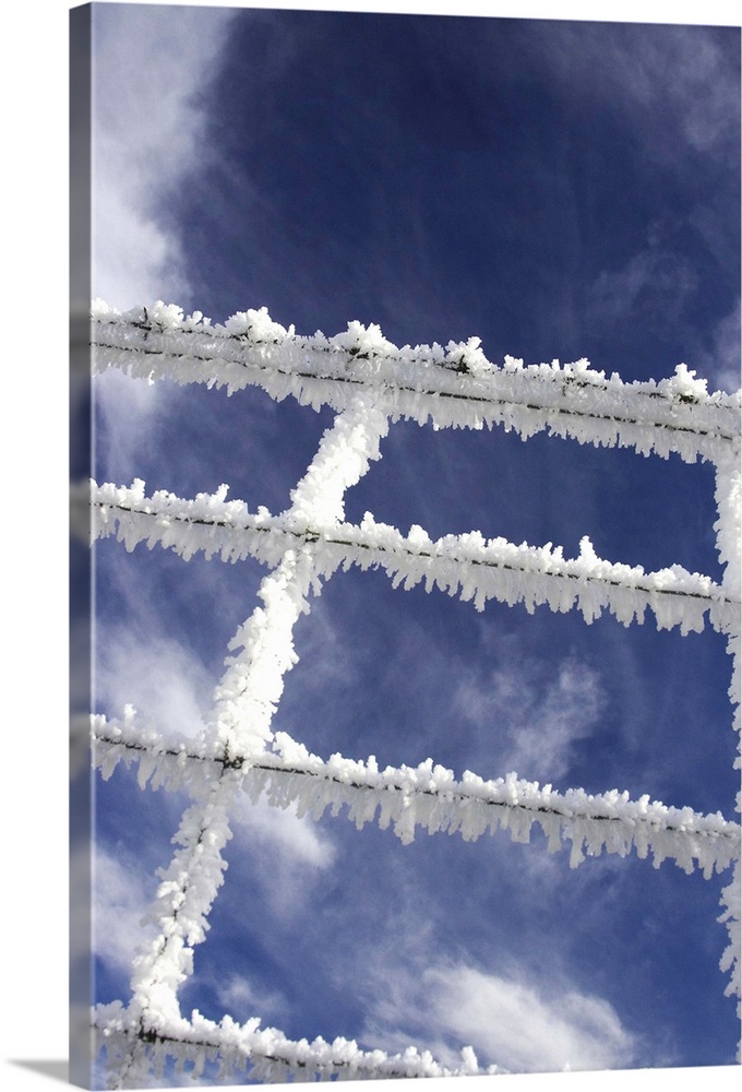 Frosty Wire Fence, Sutton, Otago, South Island, New Zealand