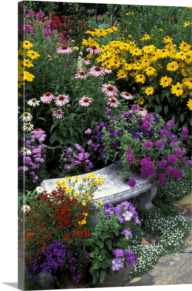 Garden stone bench, gold and purple.
