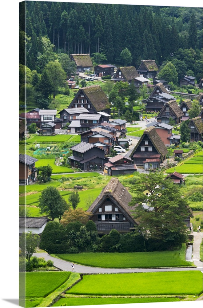 Gassho-zukuri houses and farmland in the mountain, Shirakawa-go, Gifu Prefecture, Japan