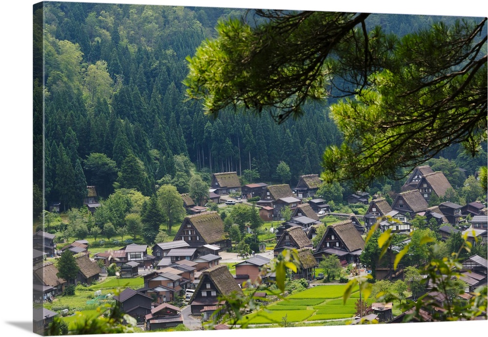 Gassho-zukuri houses and farmland in the mountain, Shirakawa-go, Gifu Prefecture, Japan