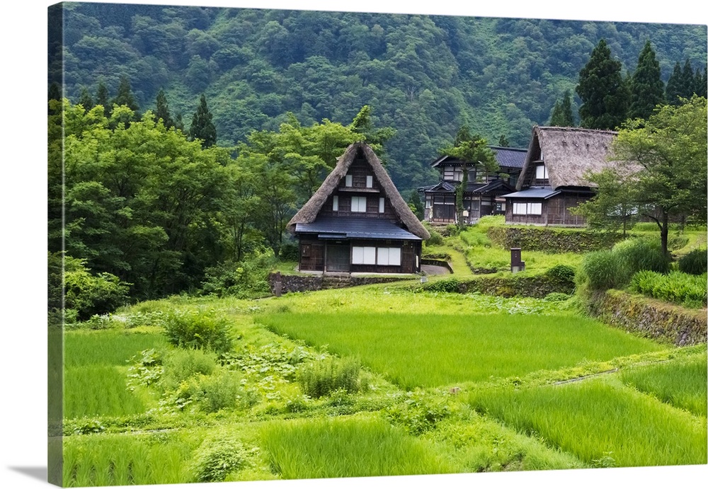 Gassho-zukuri houses in the mountain, Ainokura Village, Gokayama, Toyama Prefecture, Japan