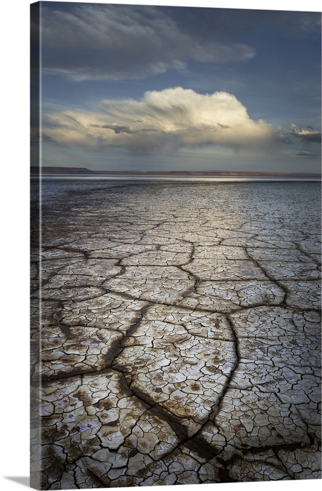 USA, North America, Oregon. Geometric Patterns In Drying Mud, Alvord Lake, A Seasonal Shallow Alkali Lake In Harney County.