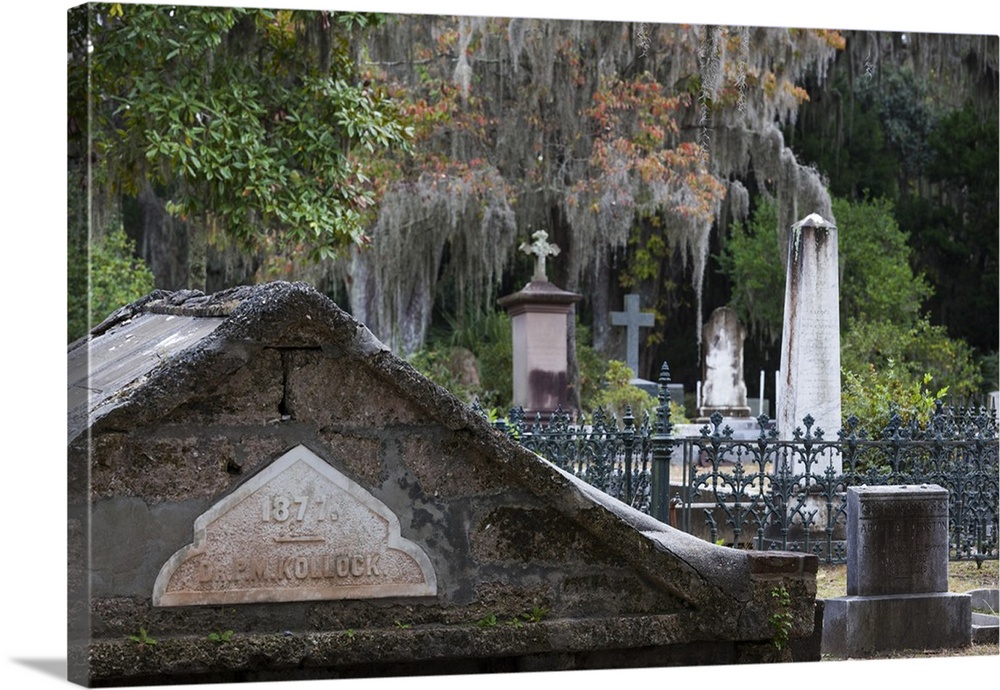 Georgia, Savannah, Bonaventure Cemetery.
