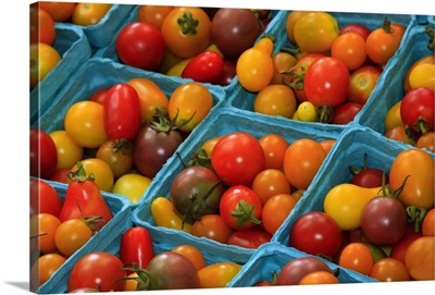 Georgia, Savannah, Cherry tomatoes at a farmer's market in Savannah