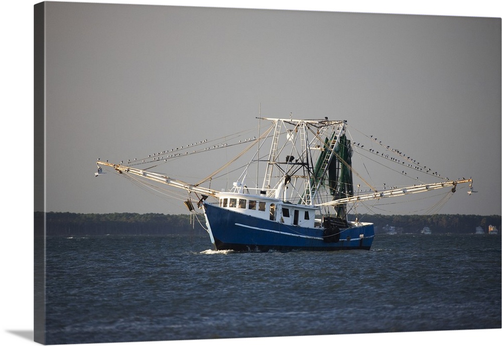 USA, Georgia, Savannah, Shrimp boat along the coast.