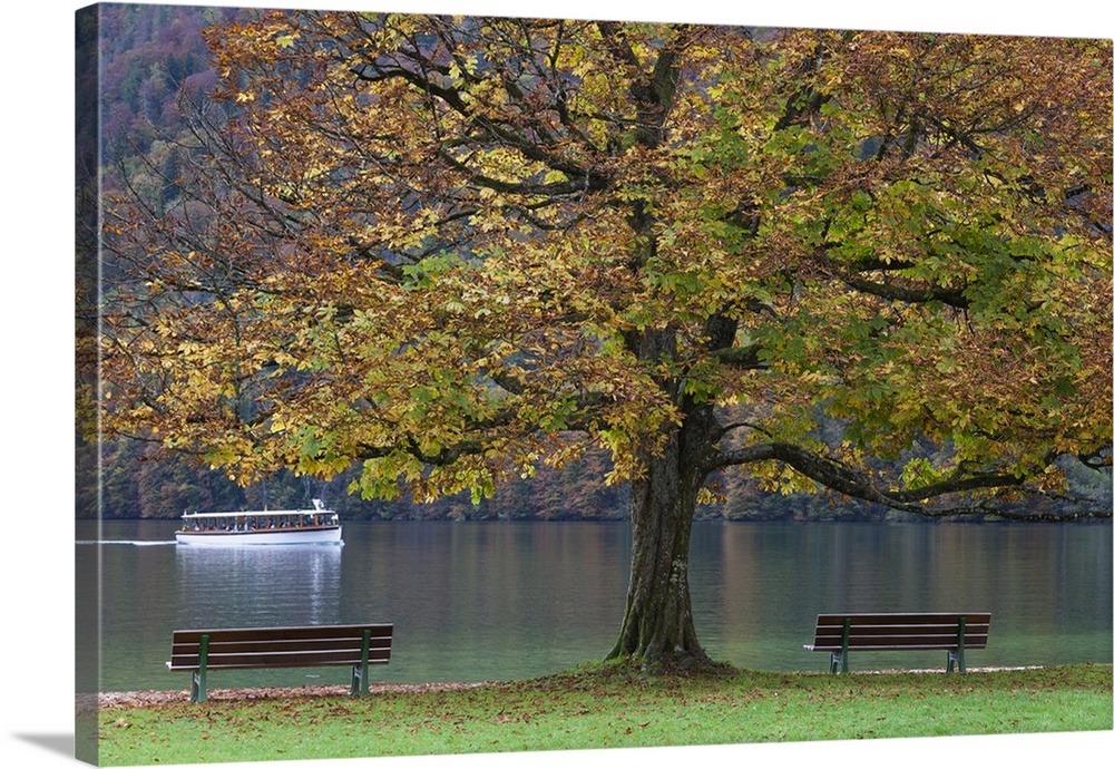 Germany, Bavaria, Konigsee, St. Bartholoma, fall foliage.