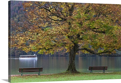 Germany, Bavaria, Konigsee, St. Bartholoma, fall foliage