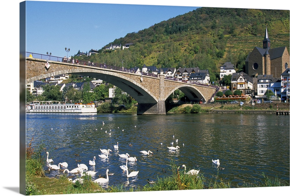 Europe, Germany, Rhineland-Palatinate, Cochem, bridge across Mosel River with swans in the foreground.