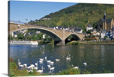 Germany, Cochem, Bridge Across Mosel River With Swans In The Foreground