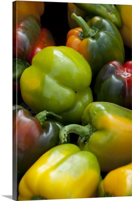 Germany, Passau, Open-air farmer's market, Colorful sweet bell peppers