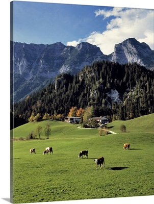 Germany, Ramsau, Chalets offer accommodation and a beautiful view