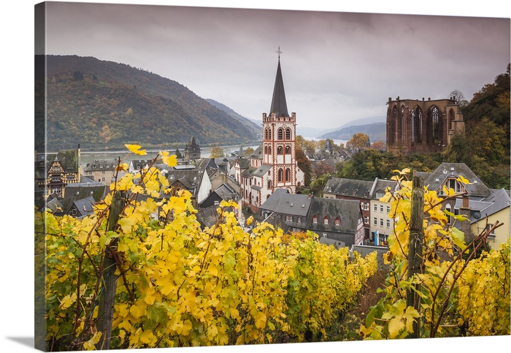 Germany, Rhineland-Pfalz, Bacharach, elevated town view in autumn.