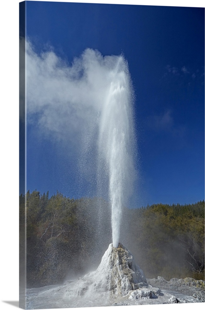 Geyser, Waiotapu, near Rotorua, North Island, New Zealand