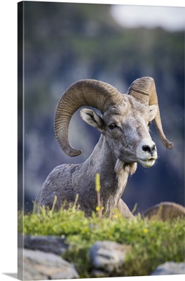 Glacier National Park