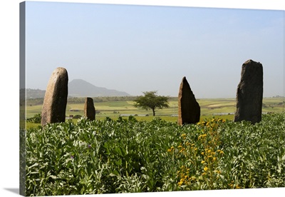 Grave marks at Dungur (Dungur 'Addi Kite) palace ruins, Aksum, Ethiopia