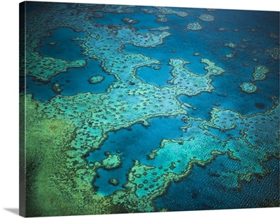 Great Barrier Reef, Queensland, Australia