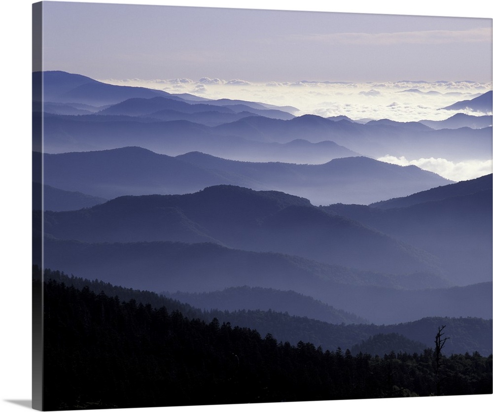 Tennessee, Great Smoky Mountains National Park, Southern Appalachian Mountains at dawn.