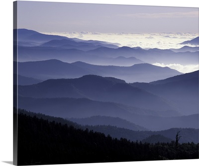 Great Smoky Mountains National Park, Southern Appalachian Mountains at dawn
