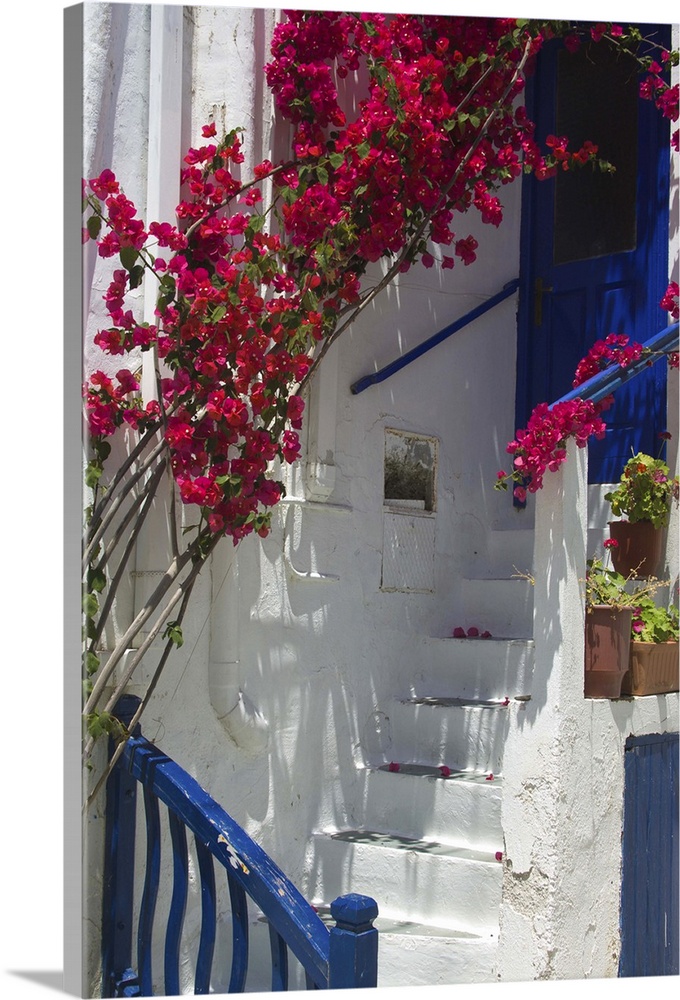 Europe, Greece, Mykonos, Hora. White staircase and blue railing with hanging bouganvillea.
