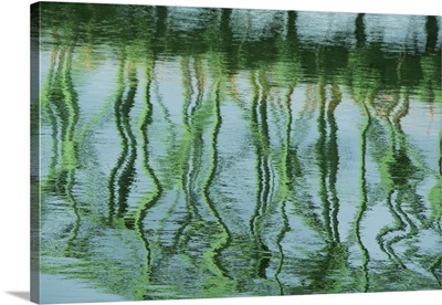 Green bridge reflection in water.