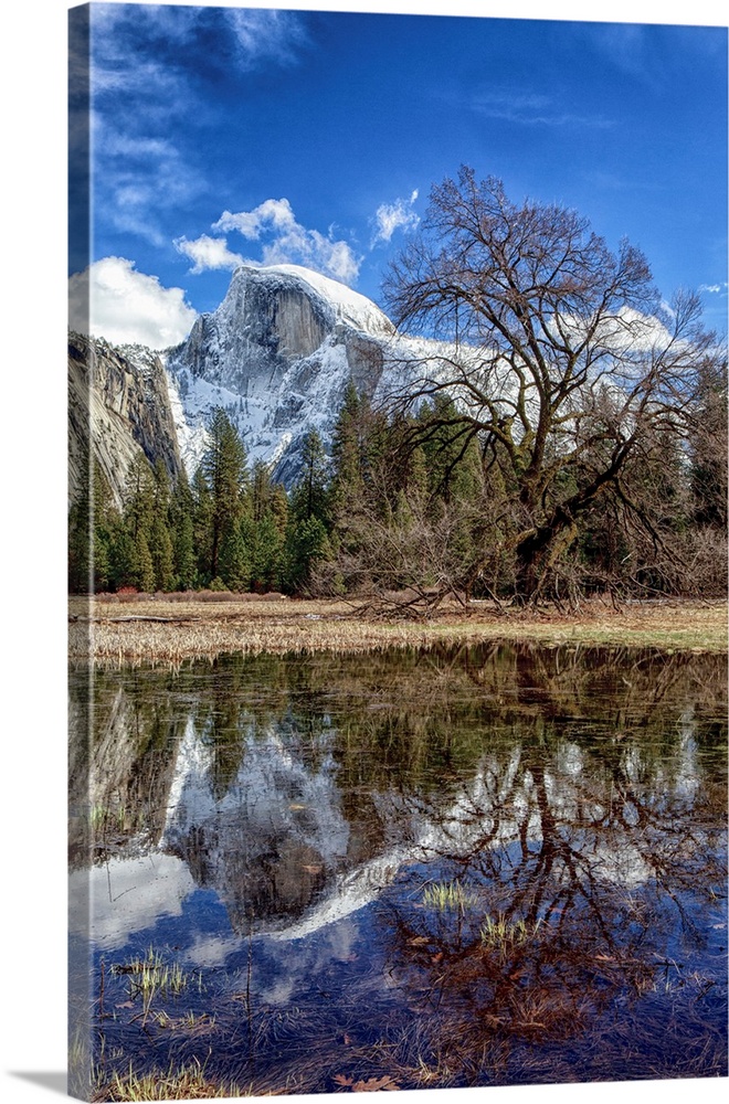 Half Dome with reflections seen from Cooks Meadow. Yosemite National Park, California.