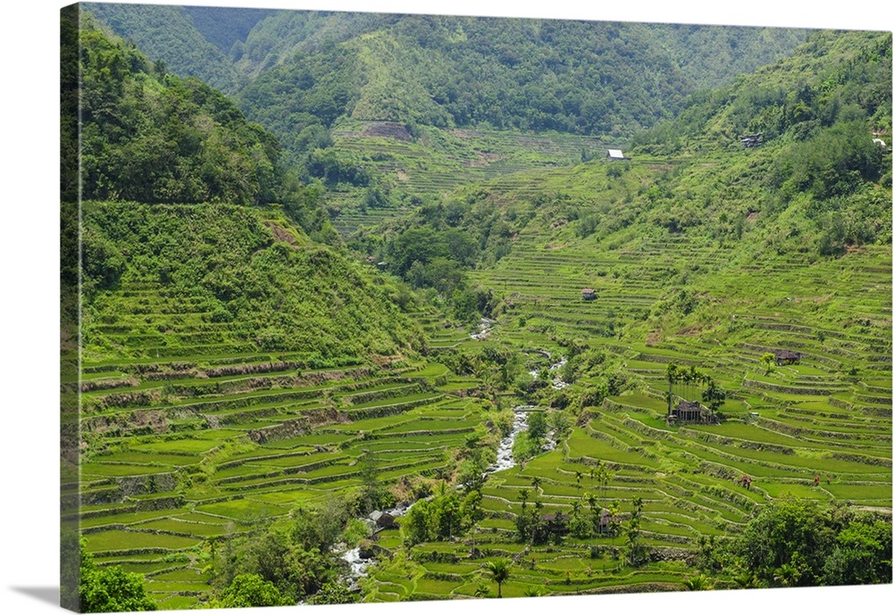 Hapao Rice Terraces, World Heritage Site, Banaue, Luzon, Philippines.