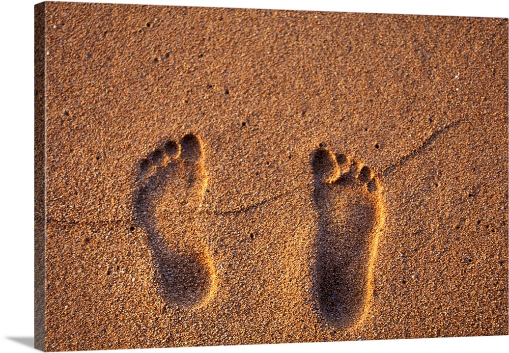 Hawaii, Kauai. Footprints in the sand on a Hawaii beach.