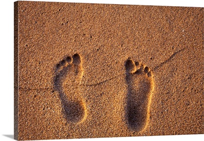 Hawaii, Kauai Footprints In The Sand On A Hawaii Beach