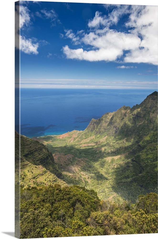 Hawaii, Kauai, Kokee State Park, View of the Kalalau Valley from Pu'u o Kila Lookout