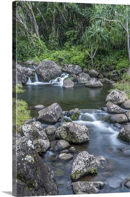 Hawaii, Kauai, Limahuli Garden and Preserve