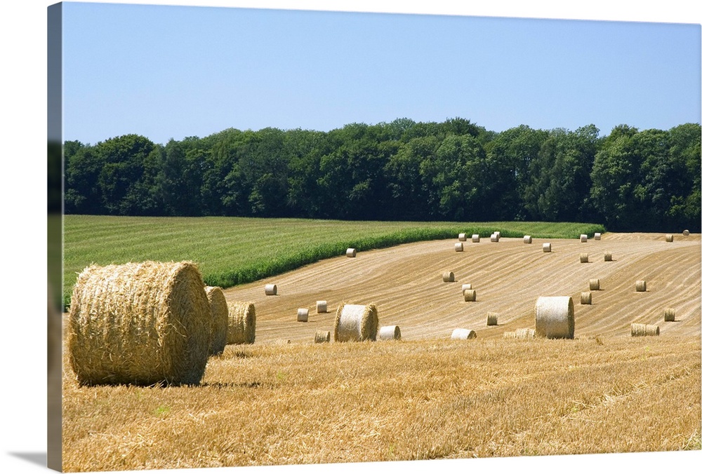 Hay bales in the french countryside near Vervins in the region of Picardie, France.