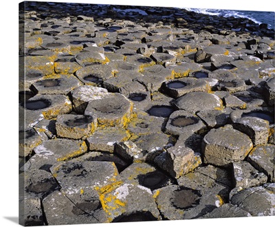 Hexagonal shapes create a puzzle of basalt columns, Northern Ireland's Giant's Causeway