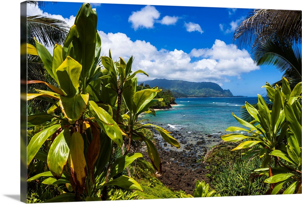 Hideaways Beach and the Na Pali Coast through tropical foliage, Island of Kauai, Hawaii USA