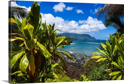 Hideaways Beach and the Na Pali Coast through tropical foliage, Island of Kauai, Hawaii