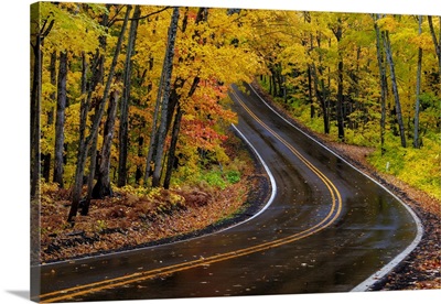 Highway 41 Covered Roadway In Autumn Near Copper Harbor, Michigan, USA
