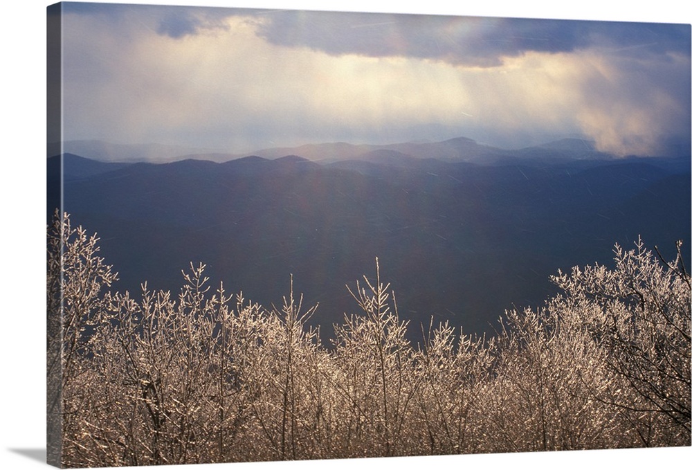 Chattahoochee N.F., Georgia. Ice coats the trees on Springer Mountain in early spring. Georgia's Blue Ridge Mountains are ...