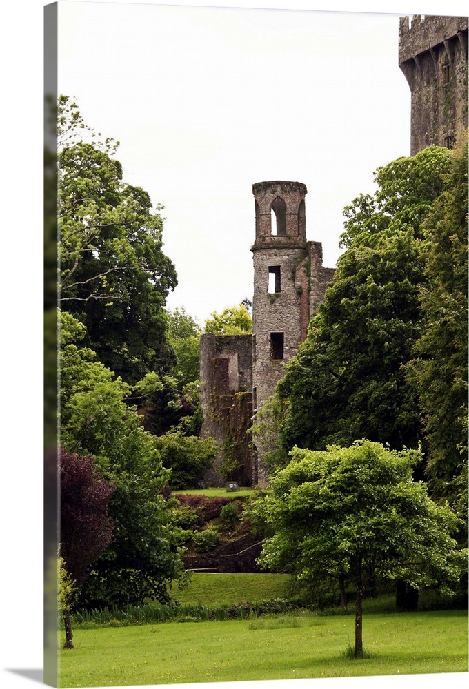 In Ireland,at the Blarney Castle tower surrounded by lush green trees