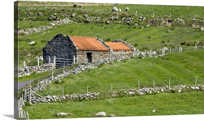 Ireland, Barnabaun Point, Irish countryside with stone wall and red-roofed house