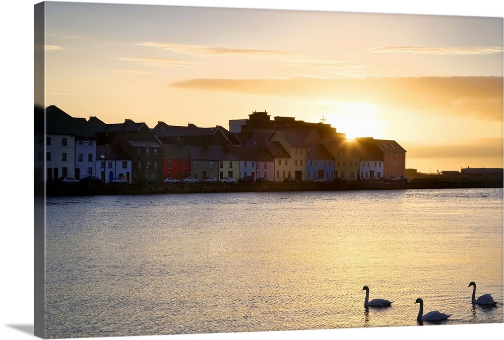 Europe, Ireland, Claddagh. Sunrise on town and swans on Galway Bay. Credit as: Dennis Flaherty / Jaynes Gallery / DanitaDe...